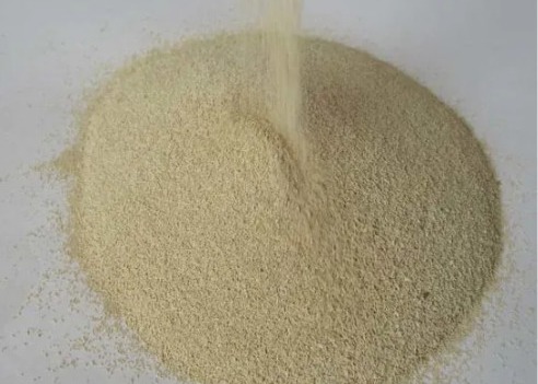 China Dry Yeast Chemical Food Ingredients food grade wholesale