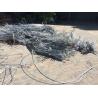 Buy cheap aluminum wire scrap 99.7 from wholesalers