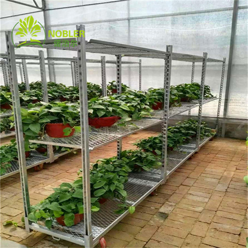 China Hot Galvanized Plywood Greenhouse Flower Carts Customized Trolley For Transport wholesale