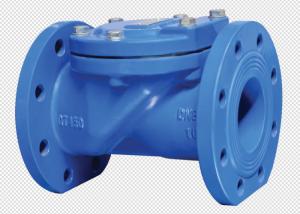 China Grey Ductile Iron Flanged Swing Check Valve 1.0/1.6mpa Rubber Wedge wholesale