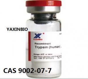 China Cell Dissociation Solution, Recombinant Human Trypsin for Enzymatic Hydrolysis of Protein wholesale