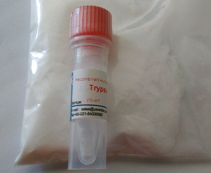 China Recombinant Aprotinin, 3 EPU/mg pro., Aprotinin, Trypsin Inhibitor, Expressed in E.coli wholesale
