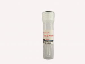 China Recombinant Kex2 Protease Pichia Pastoris Source with HPLC Purified wholesale