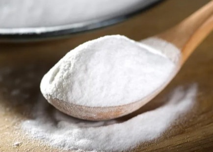 China 99.2%  Baking Soda sodium benzoate wholesale