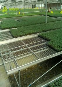 China Large Wire Greenhouse Grow Beds And Tables / Garden Center Tables wholesale