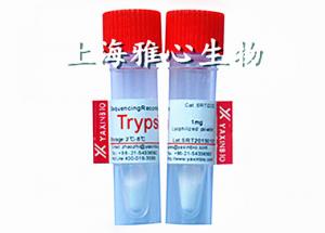 China 9002-07-7 Sequencing Grade Trypsin, Genetically Engineered Methylation Modified Protein Expressed In E.Coli wholesale