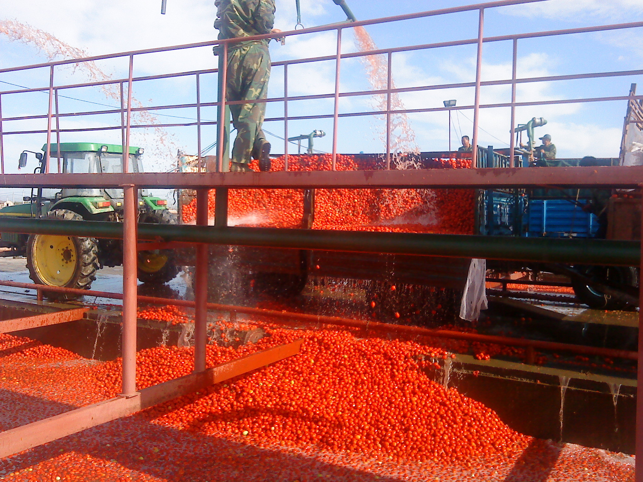 China Fresh Tomato Puree Processing Line Customization High Capacity 6.5t/H wholesale