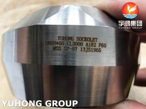 China DUPLEX STEEL WELDOLET ASTM A182 F60 / S32205 SOCKOLET MSS-SP97 FORGED FITTING wholesale
