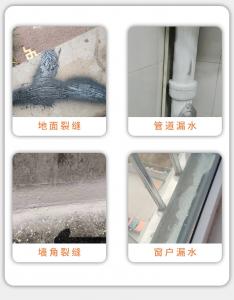 China 700ml Waterproof Leakage Repair Paint Pipe Sealant Aerosol Spray wholesale