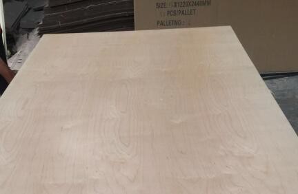 China White Birch UV Coated Plywood Poplar / Eucalyptus Core Type 2.5 - 20mm Thickness wholesale