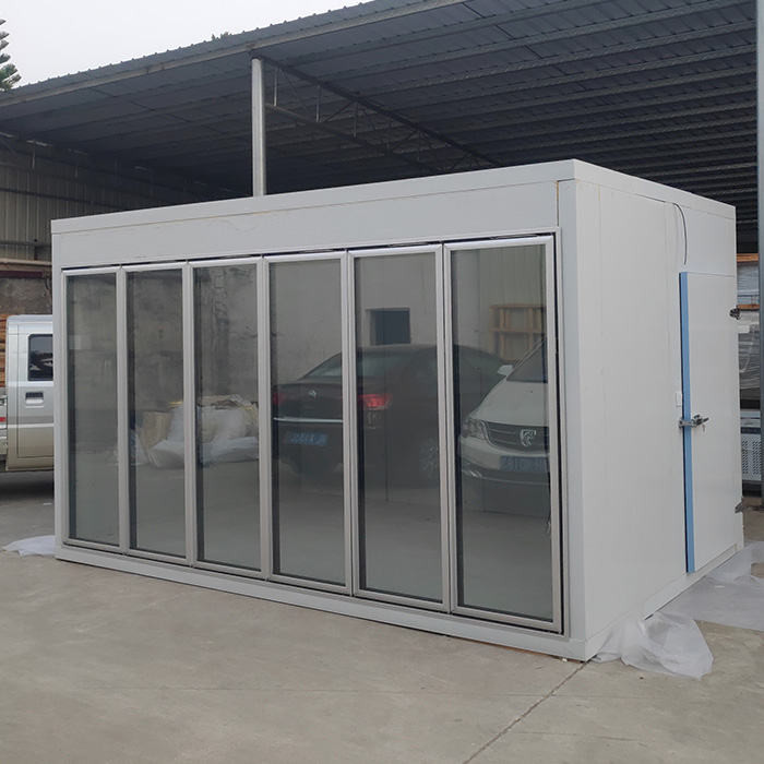 China 6 Glass Door Supermarket 220V Walk In Cooler Freezer wholesale