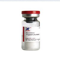 China Recombinant Porcine Trypsin Aanimal origin free，Stable quality，Compliance with regulatory requirements wholesale