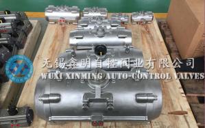 China 316 / 304  stainless steel rack pinion quarter-turn pneumatic rotary actuators for valves wholesale