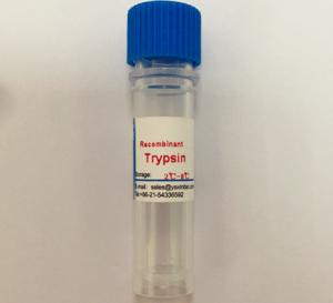 China High Stability, Recombinant Trypsin, Lyphilized Powder, Stored Under 2~8℃ For 24 Months wholesale