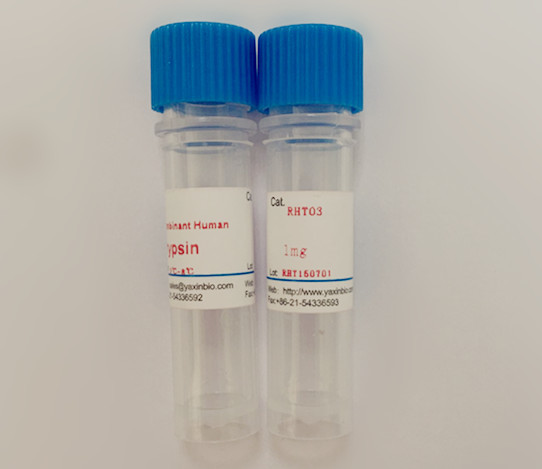 China Recombinant Human Trypsin, White or Off-white Powder, CAS 9002-07-7 wholesale