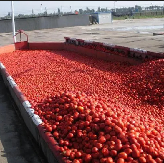 China Tomato Paste Production Line For 300 Tones A Day Processing Machine wholesale