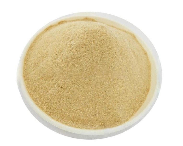 China High Tolerance 10g 100g Active Yeast Chemical Food Ingredients wholesale