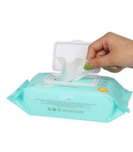 China Cleaning Disinfectant Wipes Travel Adults Age Group Surface OEM Accepted wholesale