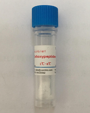 China Recombinant Carboxypeptidase B, Catalyzes Hydrolysis of Basic Amino Acids Lysine, Arginine and Histidine wholesale