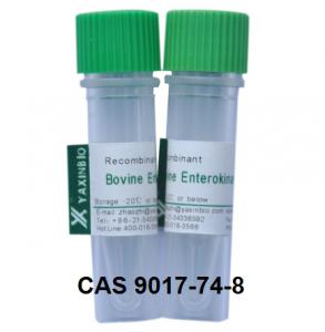 China Recombinant Enterokinas, CAS 9017-74-8, Enzyme, Enterokinase wholesale