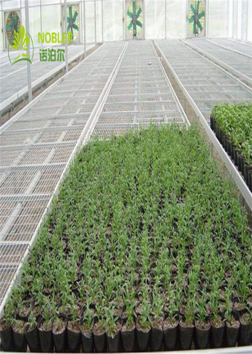 China 1.7m Length Greenhouse Grow Beds , Seed Bed Bench Tray Top Table wholesale