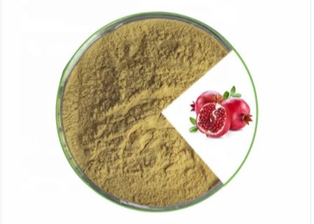 China 30% Polyphenols 98% Ellagic Acid Brown Pomegranate Extract Powder wholesale