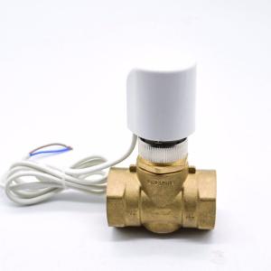 China Dn15 Dn20 Dn25 Motorized Brass Water Valve , Two Way Electric Water Flow Control Valve wholesale
