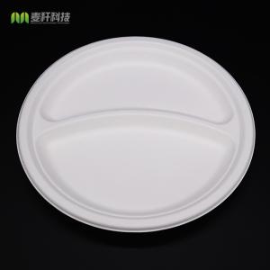 China Best Quality Promotional Biodegradable Takeaway Plates , Disposable Biodegradable Paper Plates wholesale