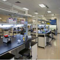 hebei huanshi biotechnology co.,ltd.