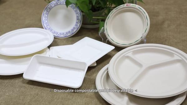 2022 Free Plastic Disposable Serving Trays , Biodegradable Sugarcane Bagasse