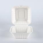 Biodegradable Food Container Burger Box friendly fully