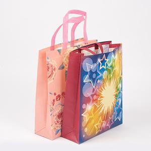 China Lamination Shopping Nonwoven Bag wholesale