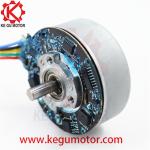 55mm bldc brushless dc BL5520 motor 24v 3800 RPM fascia muscle massage gun motor