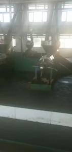China Peanut Kernel Oil Seed Press Machine High Quality wholesale
