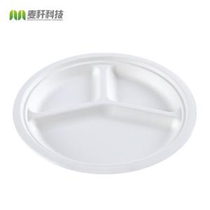 China 10&quot; Round 3-Compartment natural sugarcane fiber Plate wholesale