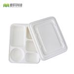 Eco Friendly Disposable Food Trays , Restaurant Sugarcane 5 Compartment Tray