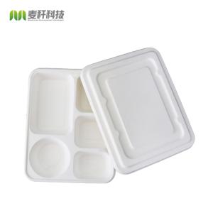 China Eco Friendly Disposable Food Trays , Restaurant Sugarcane 5 Compartment Tray wholesale