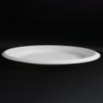 Wholesale Green Bagasse Pulp Food Containers Disposable Plate