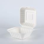 Biodegradable Food Container Burger Box friendly fully