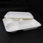 Eco Friendly Disposable Food Trays , Restaurant Sugarcane 5 Compartment Tray