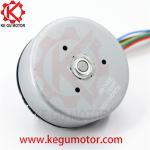 55mm bldc brushless dc BL5520 motor 24v 3800 RPM fascia muscle massage gun motor
