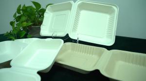 China Takeaway box biodegradable disposable food container 600ML lunch box wholesale