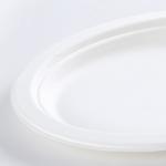 Wholesale a biodegradable sugarcane birthday cake plate western plate food
