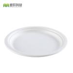 Wholesale Green Bagasse Pulp Food Containers Disposable Plate