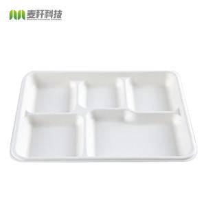 China Lunch Biodegradable Disposable Tray Compostable Sugarcane Bassage Serving Use wholesale