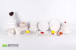 China Biodegradable Bagasse Fast Food Clamshell Take Out Containers Disposable wholesale