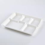 Paper 5 Compartment Disposable Plates , Sugarcane / Bagasse And Bamboo