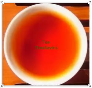 China TEA THEANINE wholesale