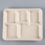 Fiber 5 Section Compartment Biodegradable Disposable Tray Hot Selling