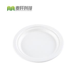 China Eco-friendly Biodegradable Baggasse RoundCake Disposable Steak Round Dessert Plate wholesale